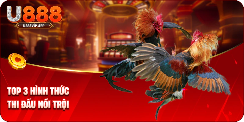 Top 3 hình thức thi đấu nổi trội